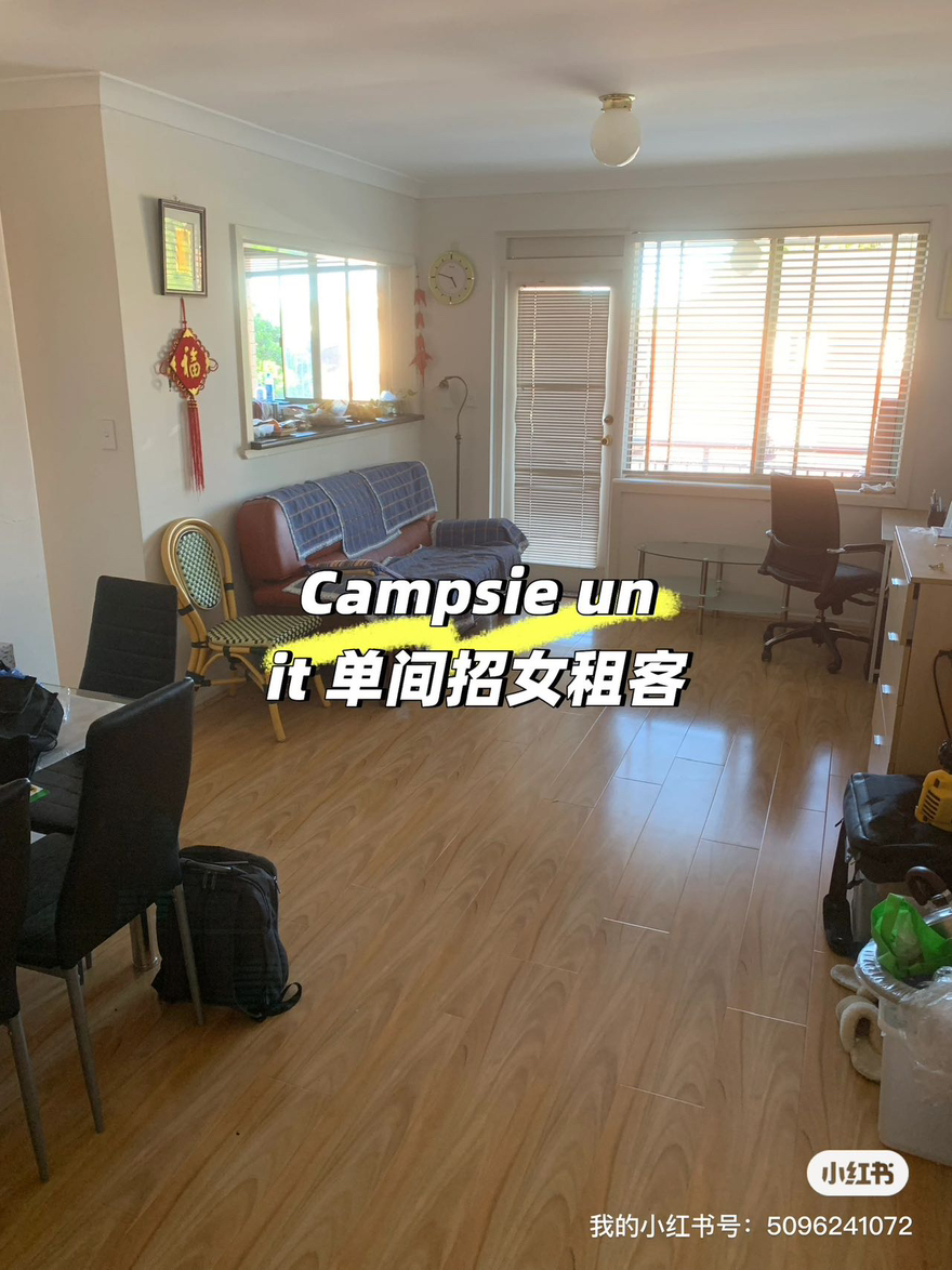 今日悉尼Campsie 悉尼租房 Campsie 悉尼租房