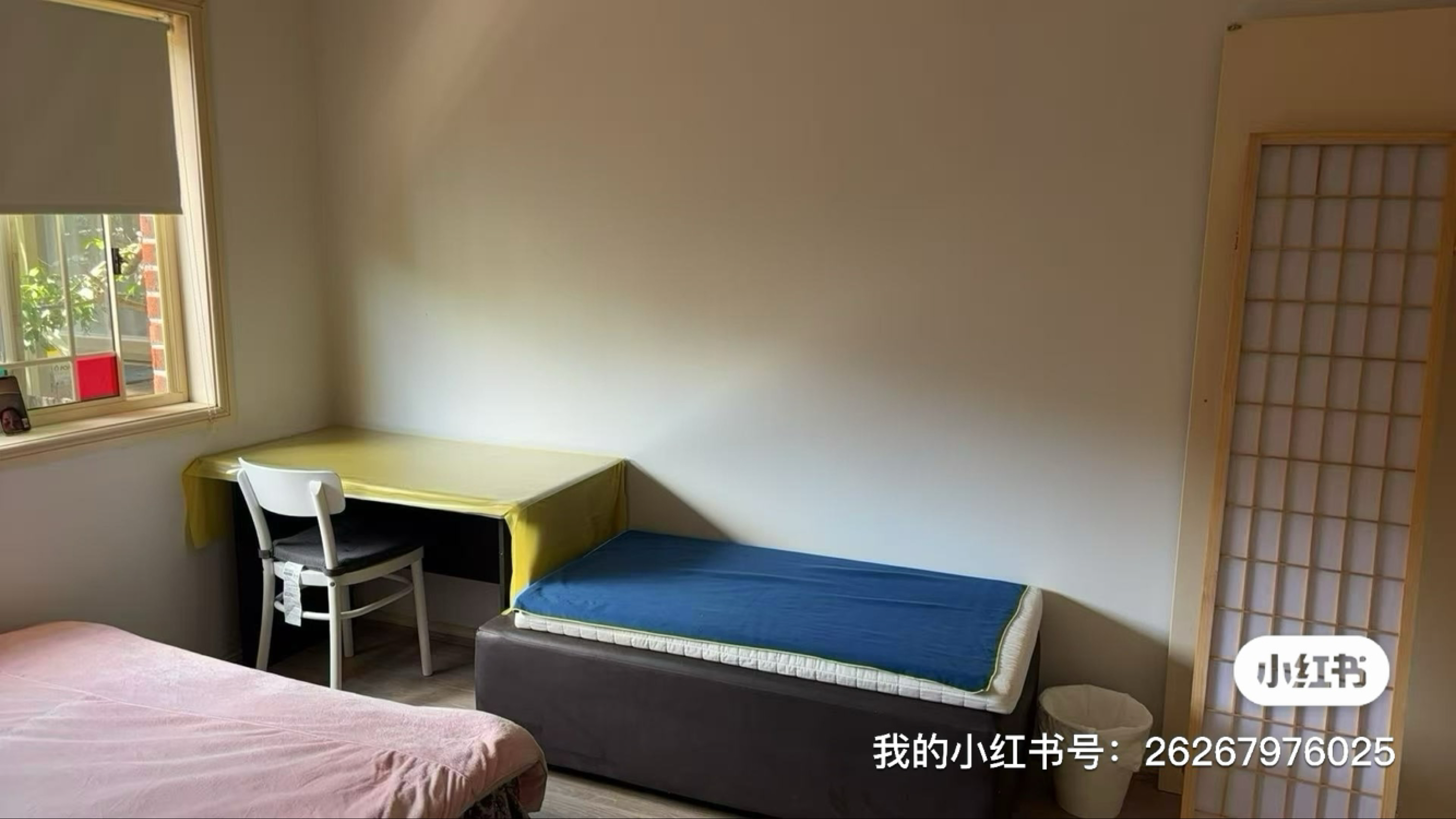 今日悉尼Carlingford 美丽的阳光 Carlingford 美丽的阳光