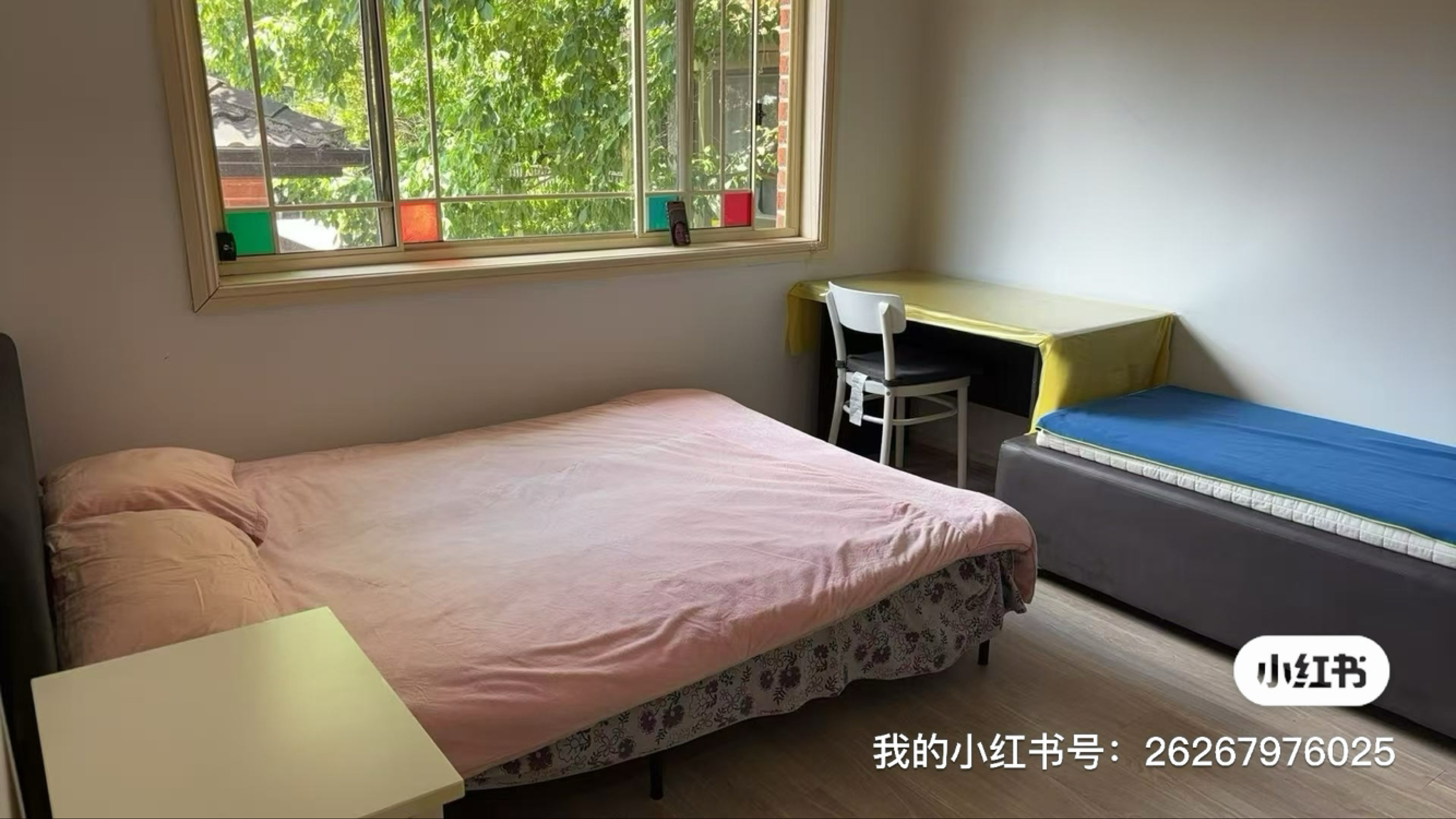 今日悉尼Carlingford 美丽的阳光 Carlingford 美丽的阳光