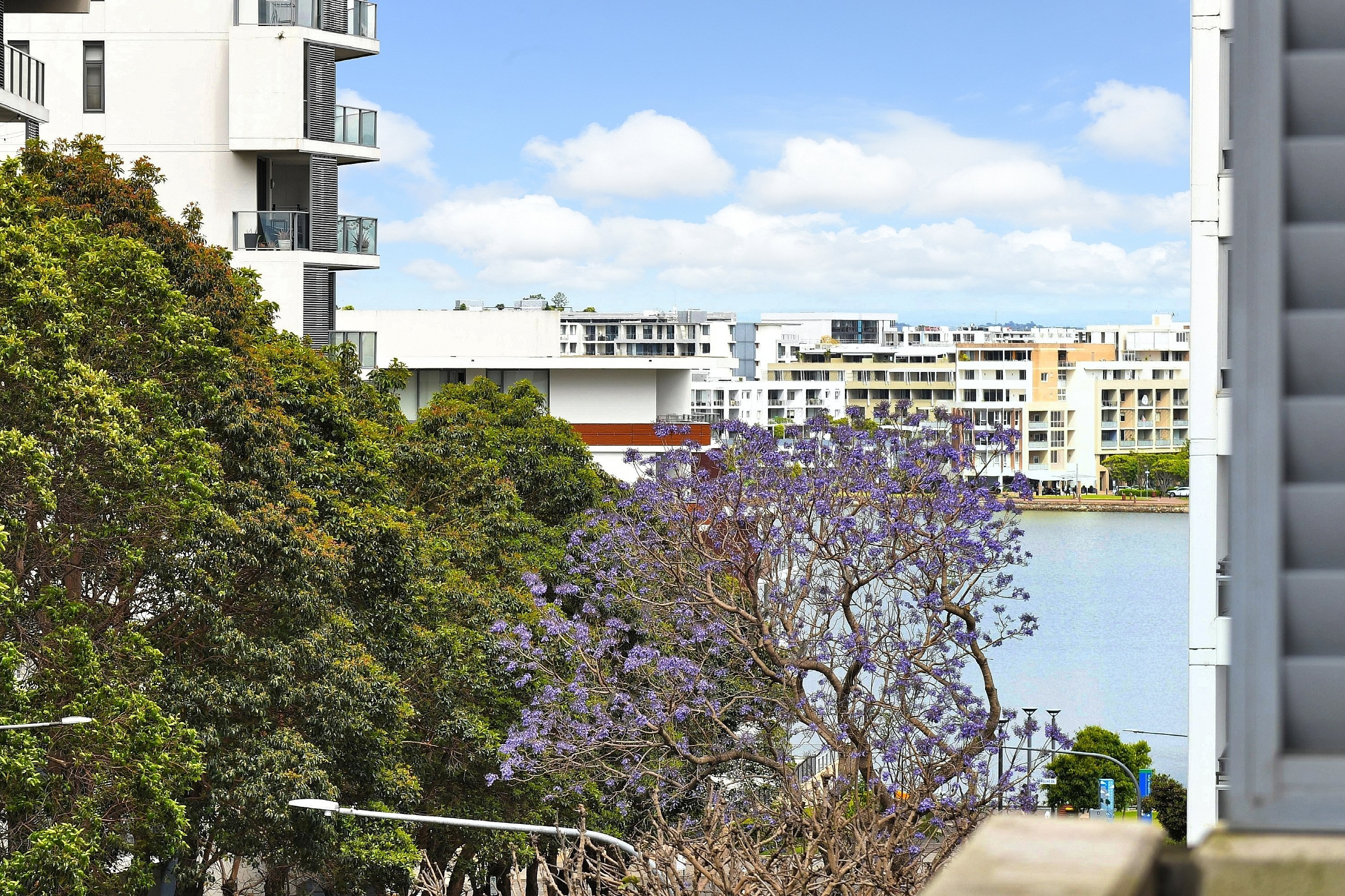 今日悉尼Rhodes 顶层南北通透木地板大两房 Rhodes 顶层南北通透木地板大两房
