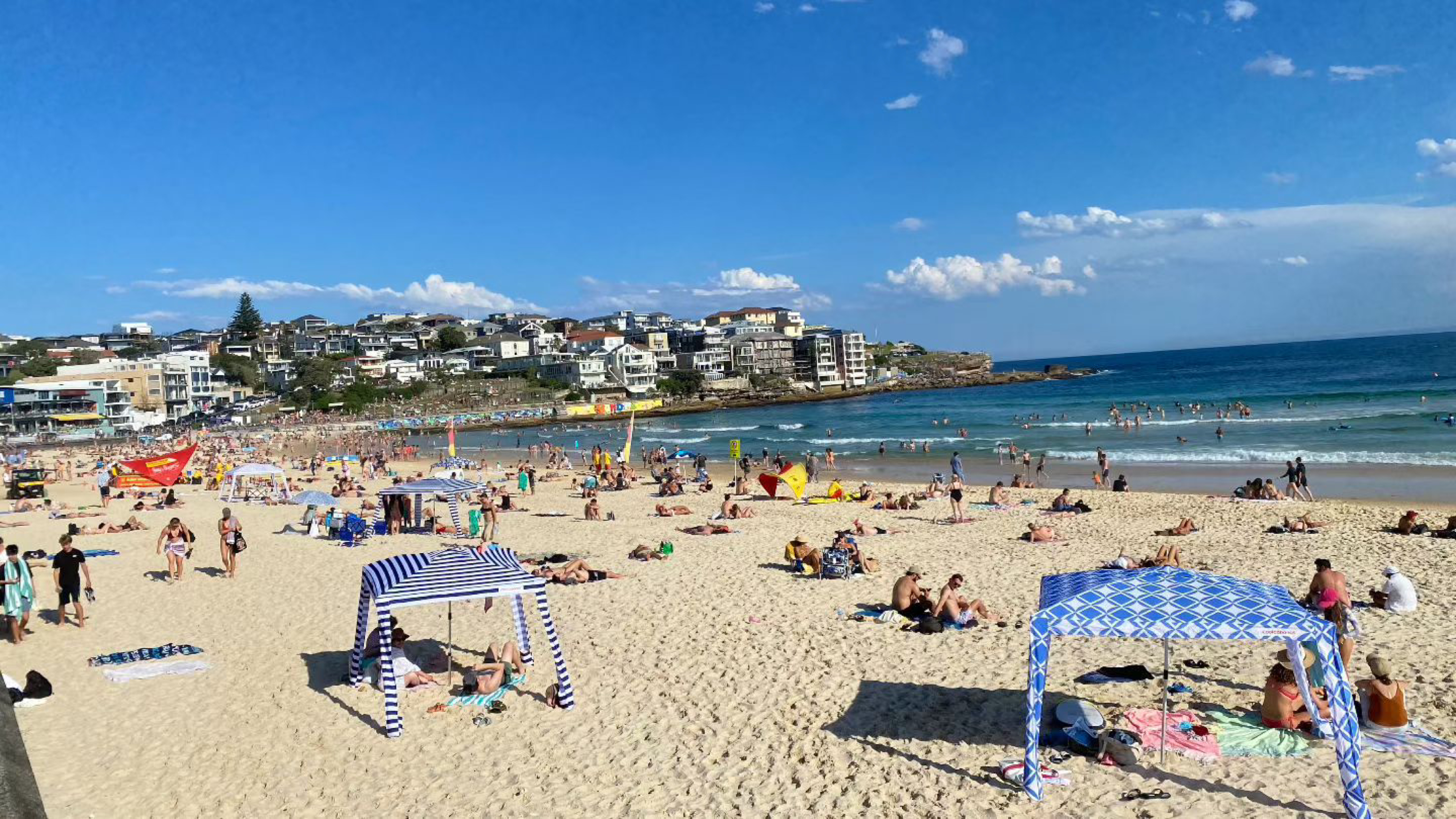 今日悉尼Bondi Junction 2 房出租 Bondi Junction 2 房出租