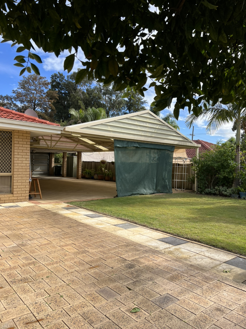 今日悉尼Willetton 3个单间出租 Willetton 3个单间出租