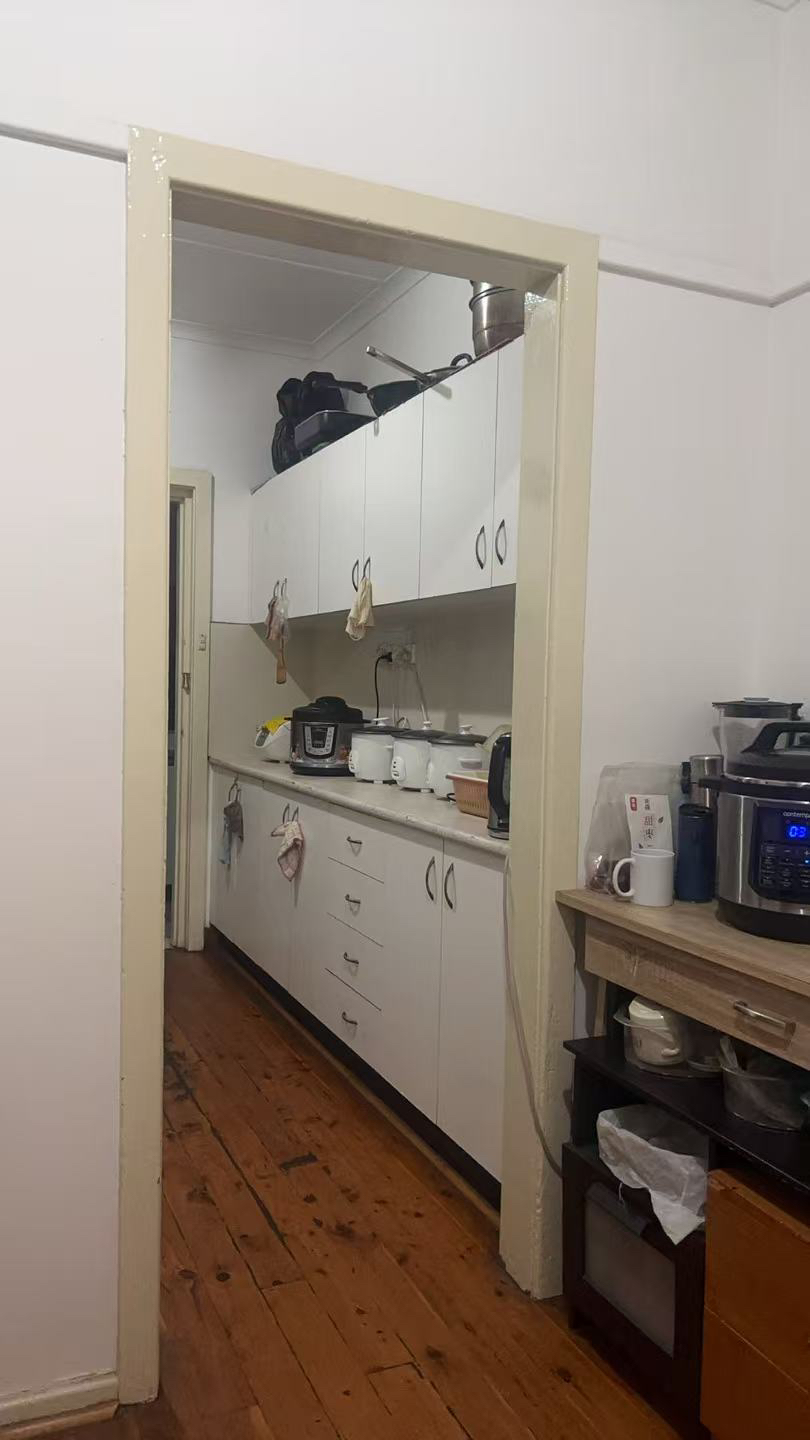 今日卧龙岗Campsie 房屋出租 Campsie 房屋出租