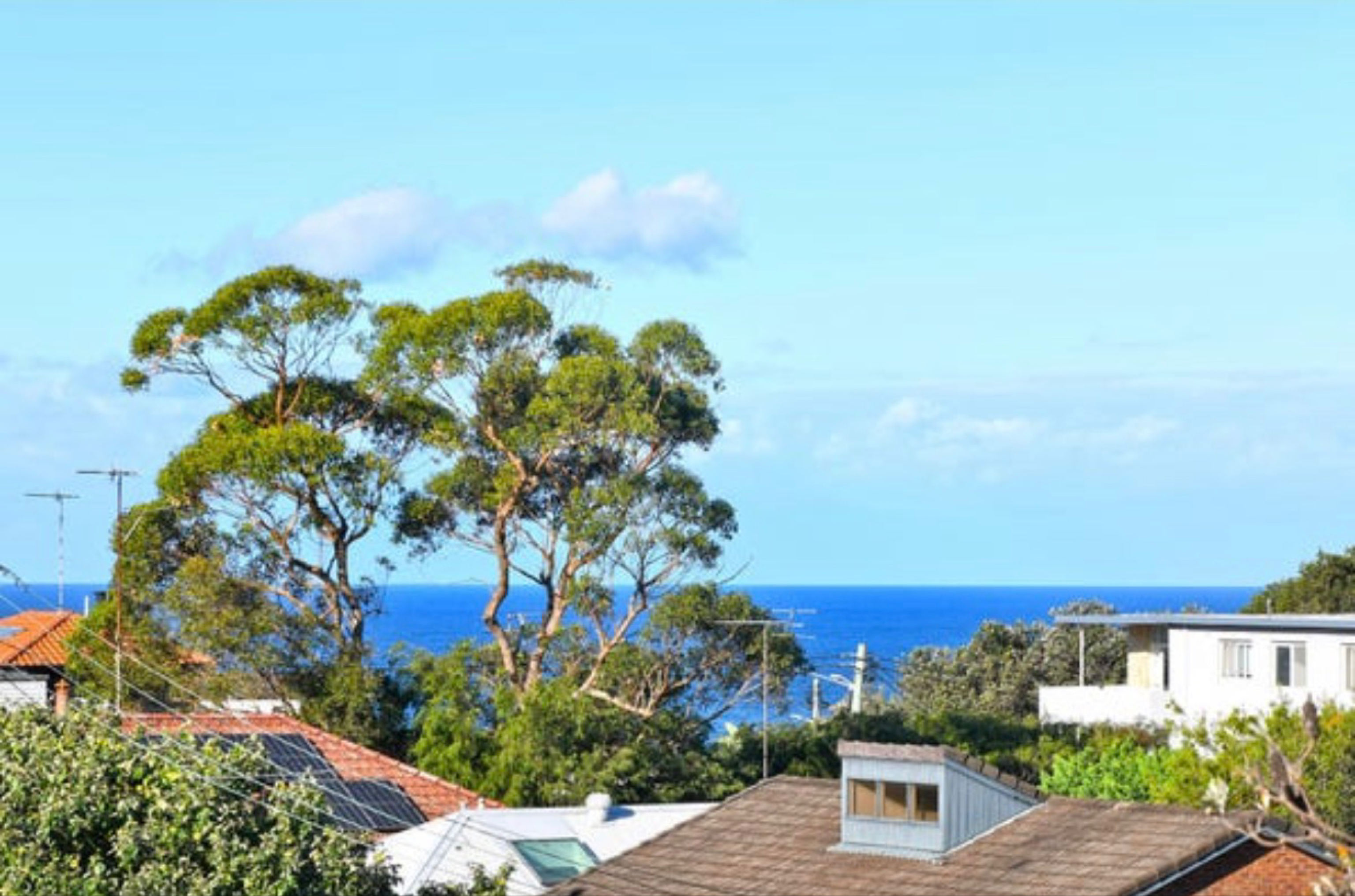 今日悉尼South Coogee 主卧出租 South Coogee 主卧出租
