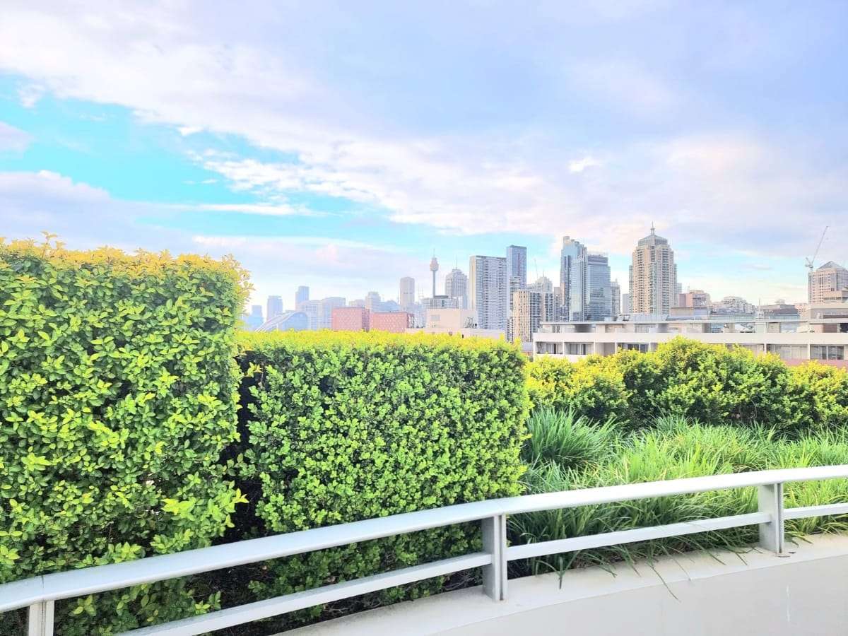 今日悉尼Chippendale 悉尼公寓单间295每周近USYDUTS市中心 Chippendale 悉尼公寓单间295每周近USYDUTS市中心