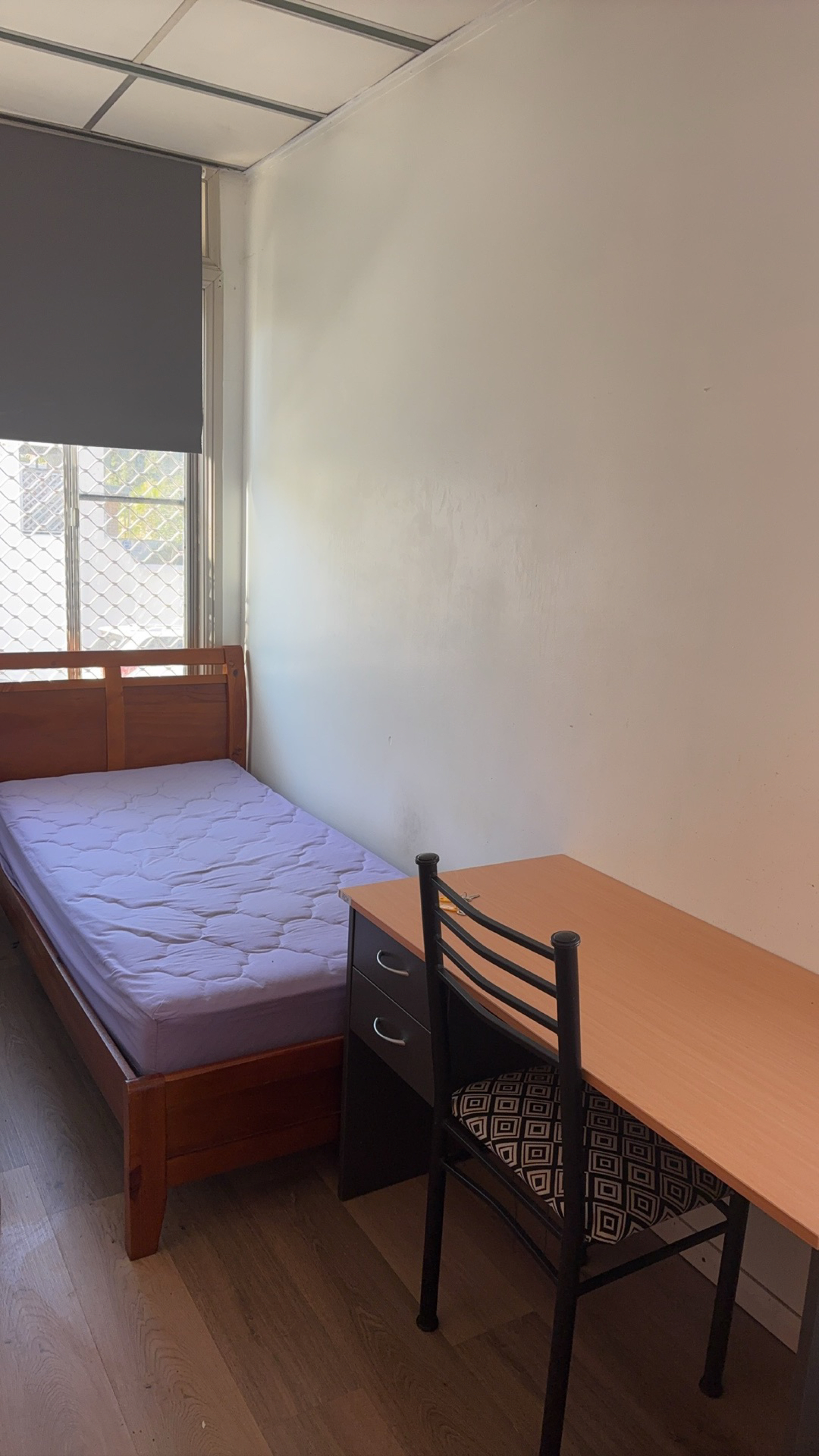 今日悉尼Ashfield House单间出租 Ashfield House单间出租