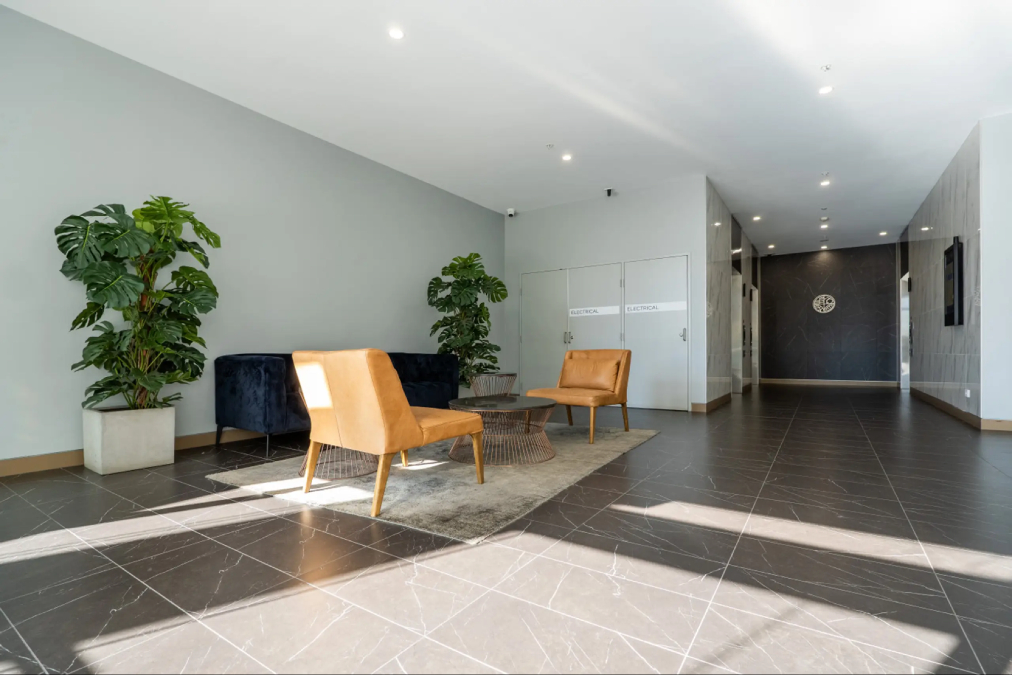 今日悉尼Macquarie Park 麥考瑞单身公寓招租 Luxury Studio For Rent Macquarie Park 麥考瑞单身公寓招租 Luxury Studio For Rent