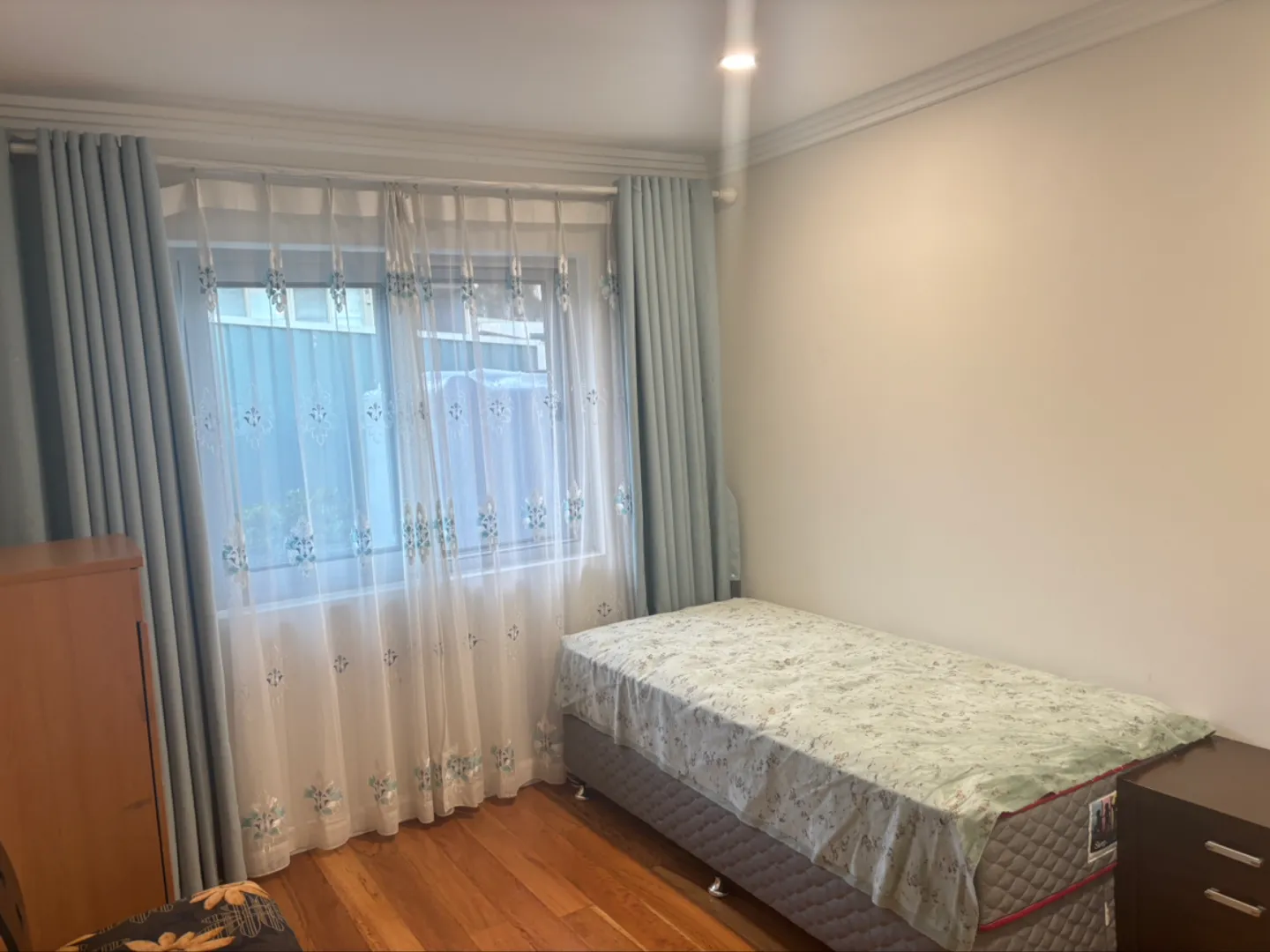 Hurstville 近新Granny Unit 出租（第 4 张）