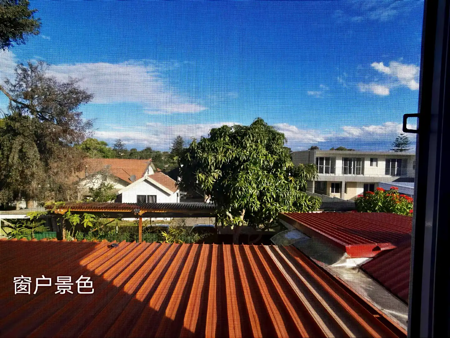 Burwood 静街近街砖house二楼房间招单(第 7 张)