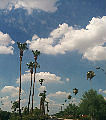 徐俏俏求高分