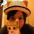 土拨鼠爱小猫