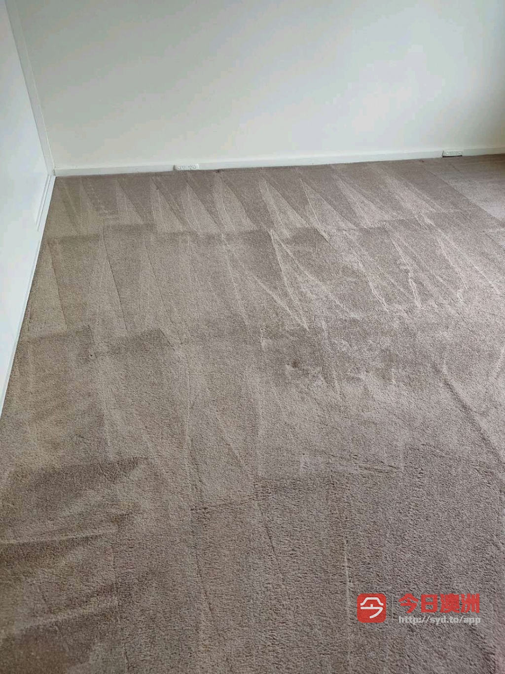  威猛清洁  最牛逼的地板补漆 地板更换 地毯蒸洗 地毯更换 100傍金退还