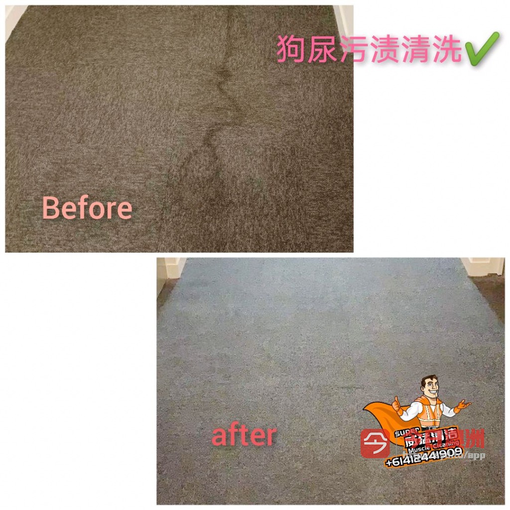  威猛清洁  最牛逼的地板补漆 地板更换 地毯蒸洗 地毯更换 100傍金退还