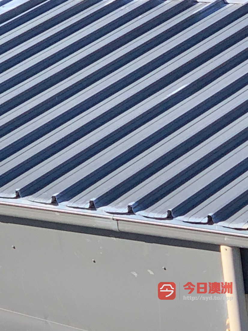  洗瓦喷漆屋顶漏雨紧急维修 安装雨水槽 安装落叶网 更换隔热棉