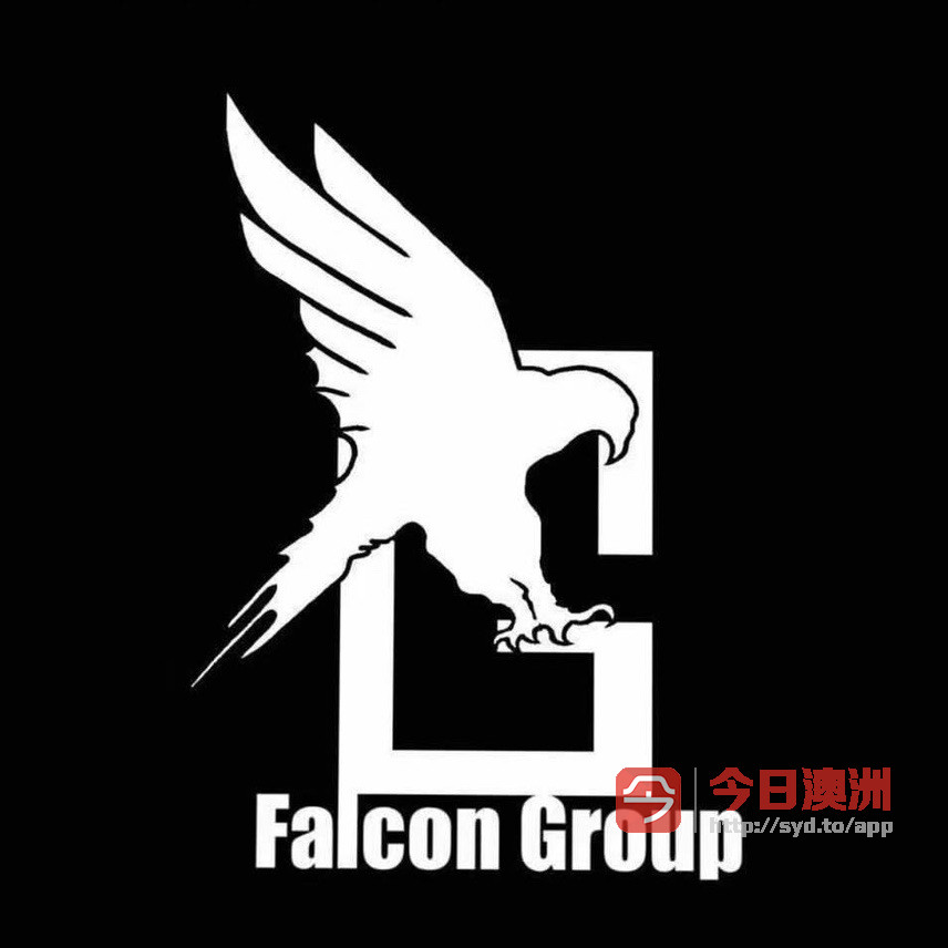  Falcon Group motor dealer华人二手车行