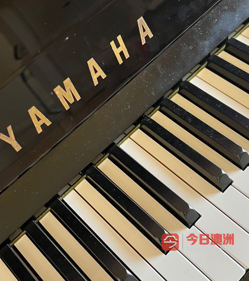  王老师专业调钢琴三十年调琴经验