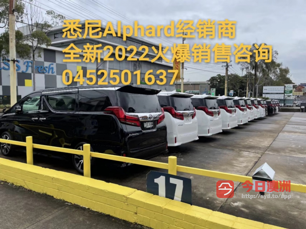  2022年 全新Alphard奢华保姆车火爆销售0452501637