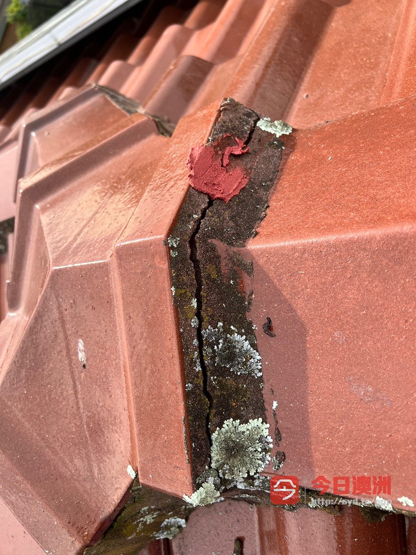  屋顶漏水  日常修理与维护 