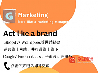  电商网站搭建运营 谷歌脸书广告投放shopify worldpress线上marketing真正本地化 online digital marketing