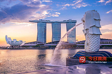  新加坡各种签证办理费用低下签快
