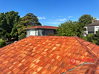  悉尼洗瓦喷漆 修屋顶漏水 水槽 落叶网