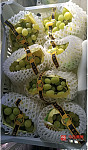  上海到澳洲 葡萄 玉米 水果生鲜 冷冻食品 特报 包柜买单出口双清到门 