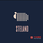  Steland Project