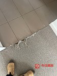  专业维修安装地毯