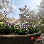  家安人旺闲置房屋我来管理