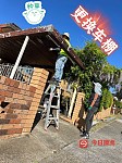  凉棚  fence 屋顶杂七杂八维修与翻新