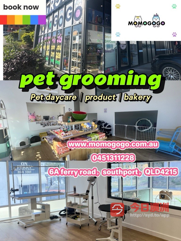 今日黄金海岸 momogogo宠物美容 宠物用品 momogogo宠物美容 宠物用品