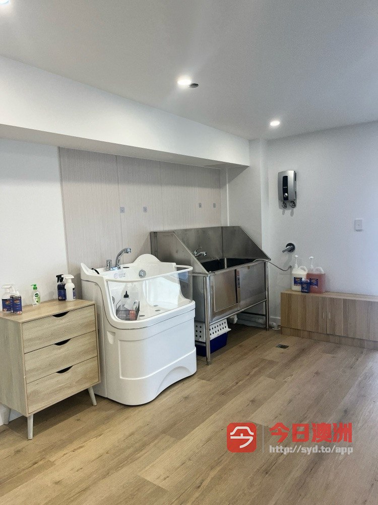 今日黄金海岸 momogogo宠物美容 宠物用品 momogogo宠物美容 宠物用品