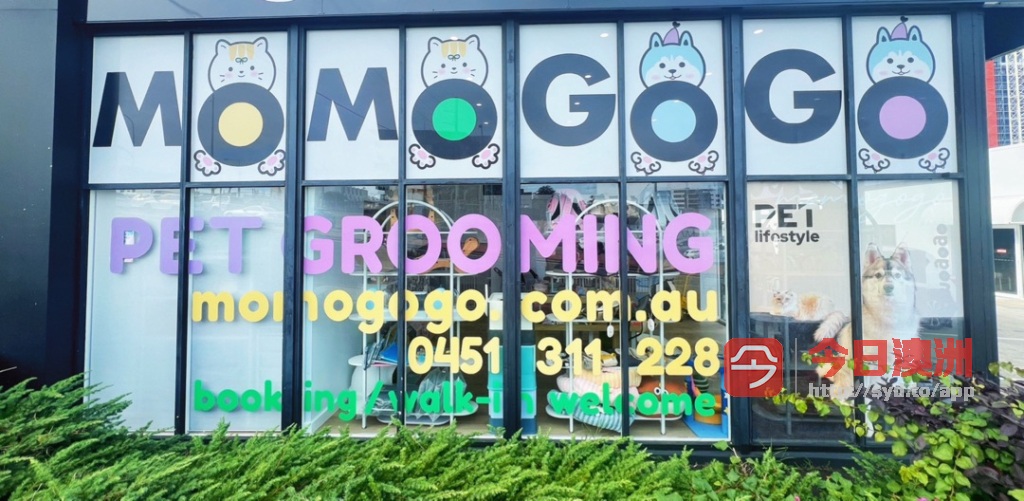 今日黄金海岸 momogogo宠物美容 宠物用品 momogogo宠物美容 宠物用品