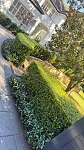  匠心花园服务