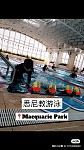  悉尼Macquarie Park教游泳