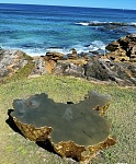  黄金海岸花园剪草修树墙