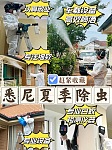  悉尼持牌商业家庭除虫白蚁检测服务