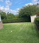  ryde附近花园维护