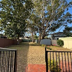  悉尼宠物日托寄养 Revesby 2212