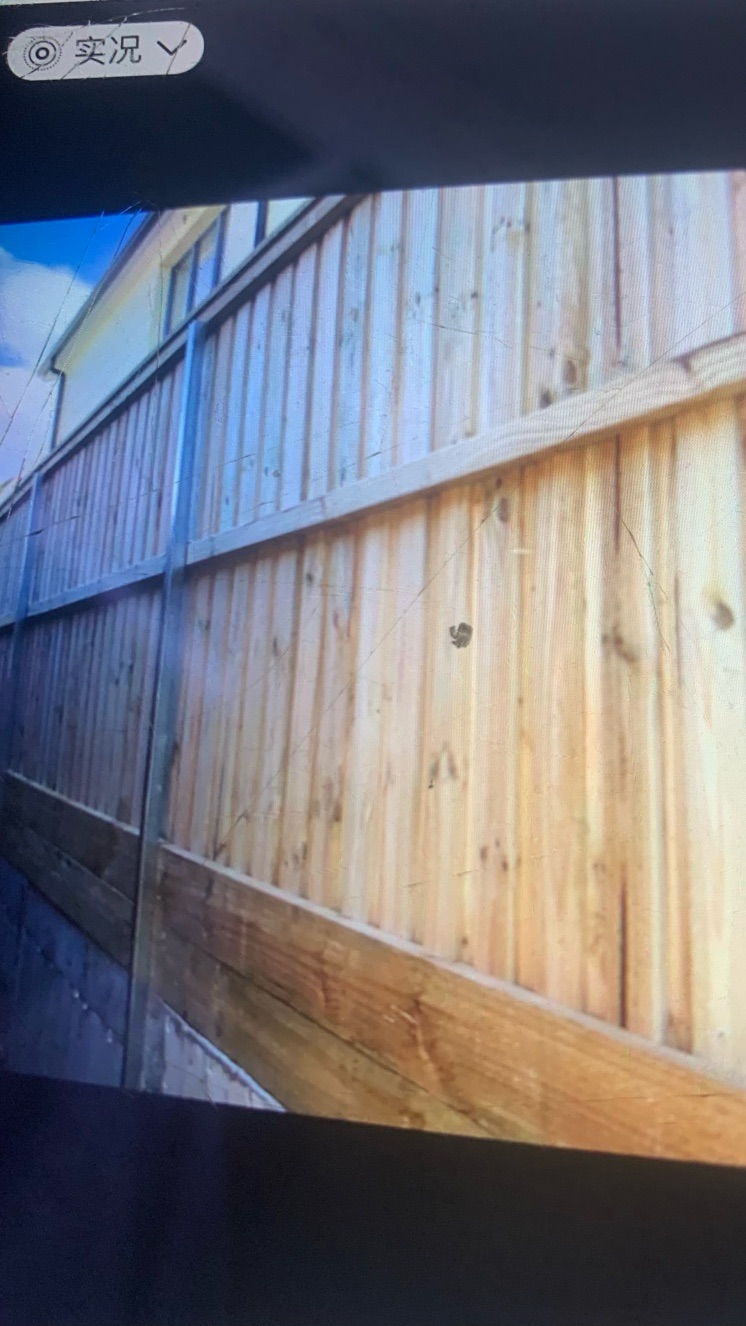 今日悉尼 Colorbond fencing木围栏木挡土墙水泥挡土墙 Colorbond fencing木围栏木挡土墙水泥挡土墙