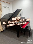  出演奏三角钢琴