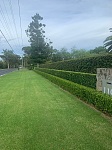 割草