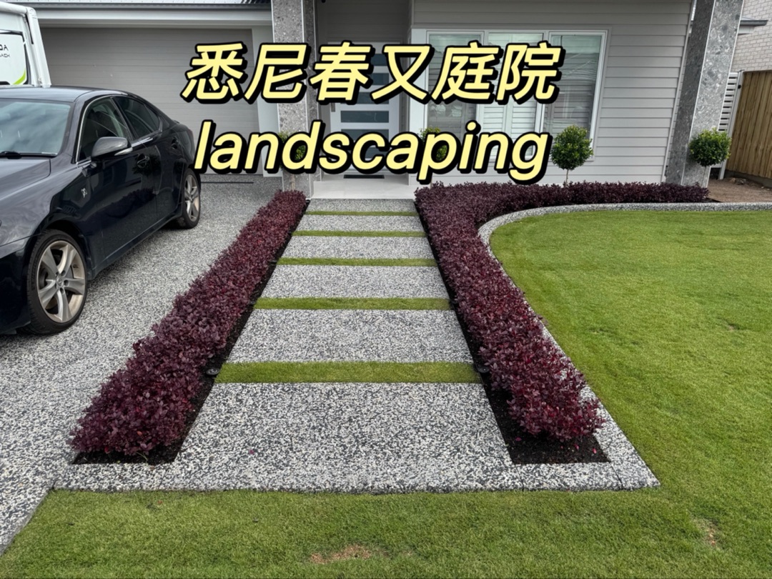 今日悉尼 悉尼春又庭院landscaping 悉尼春又庭院landscaping