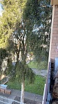  悉尼蓝天小件搬运起价70澳元可寄存行李