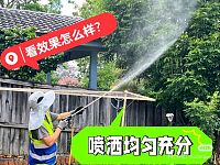  悉尼持牌商业家庭除虫白蚁检测服务