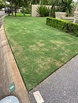 专业除草