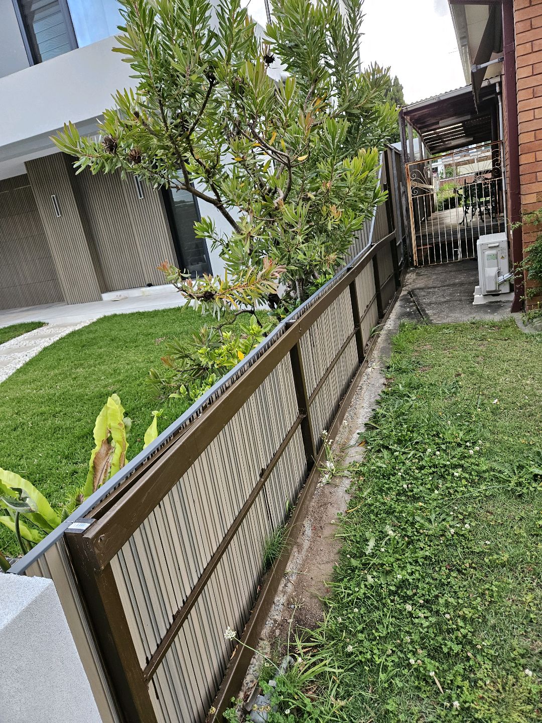 今日悉尼 悉尼Ryde老木工 悉尼Ryde老木工
