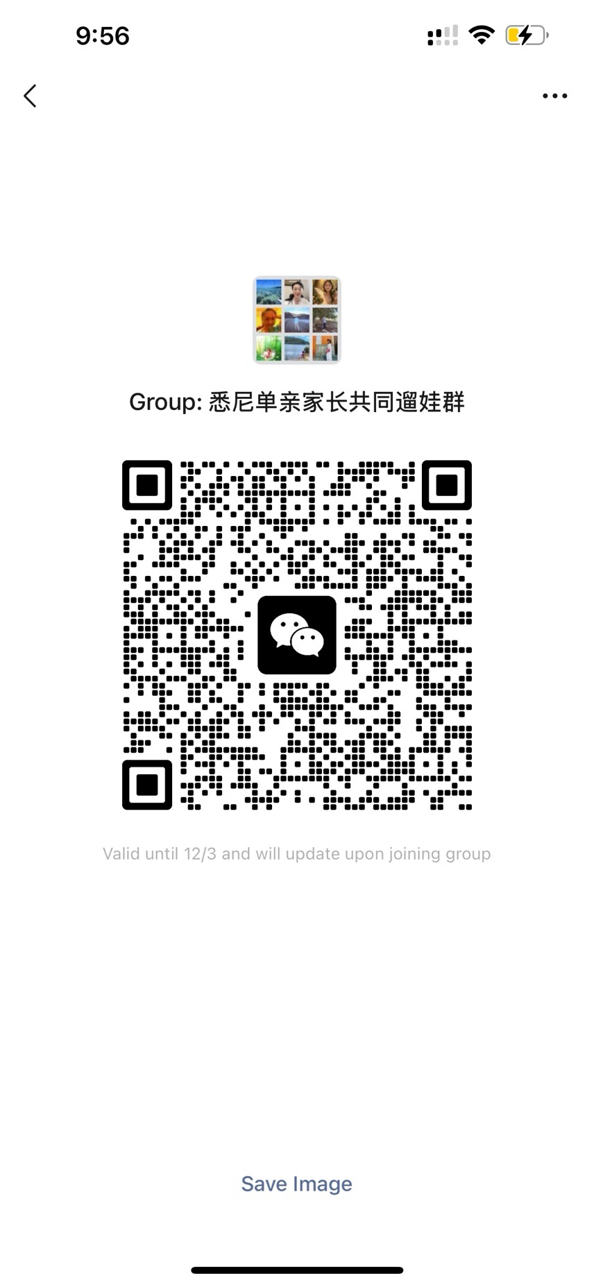 今日悉尼 悉尼单亲家长遛娃群 悉尼单亲家长遛娃群