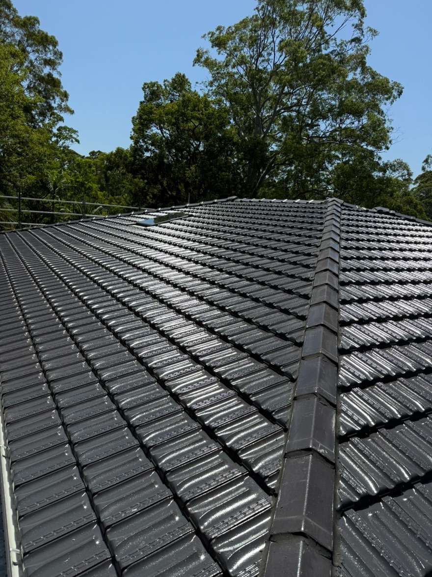 今日悉尼 专屋顶瓦顶彩钢瓦顶 水槽 后院加建 凉棚 车棚 栏杆 楼梯 专屋顶瓦顶彩钢瓦顶 水槽 后院加建 凉棚 车棚 栏杆 楼梯