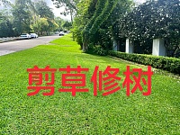  剪草修树